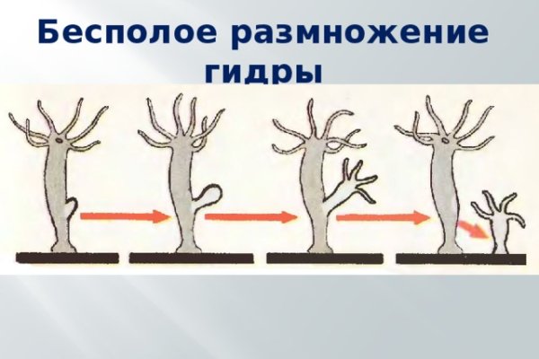 Кракен шоп интернет