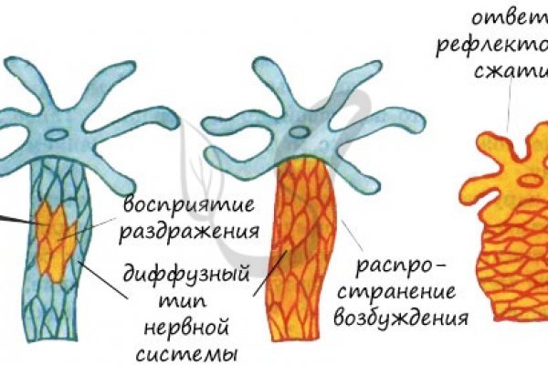 Кракен наркошоп ссылка